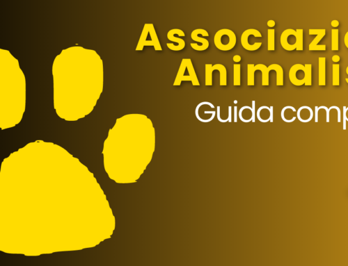 Associazioni animaliste: come promuovere il benessere animale con impegno e passione